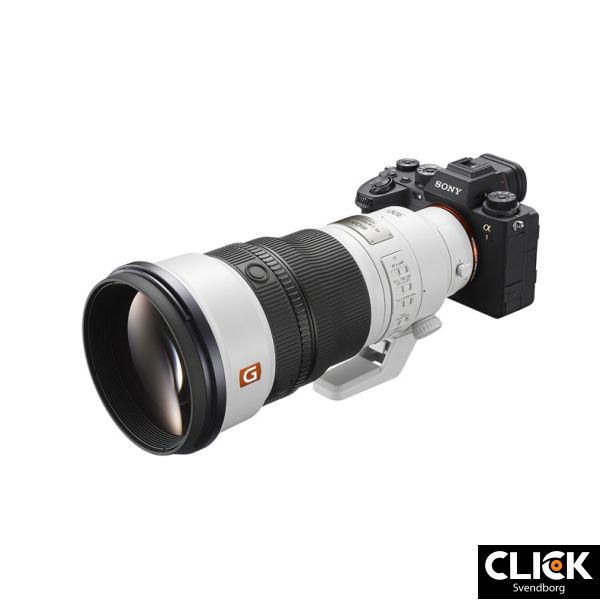 Sony FE 300mm F2.8 GM OSS