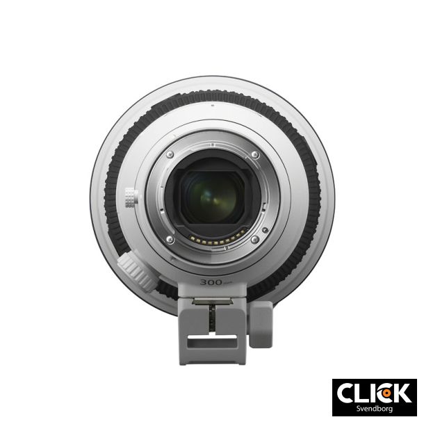 Sony FE 300mm F2.8 GM OSS