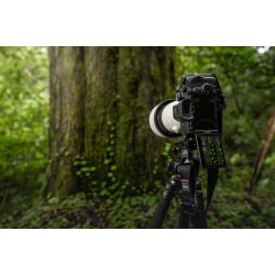 Sony Alpha A7R V (F 2250,- i straksrabat) (Sony Student Cashback)