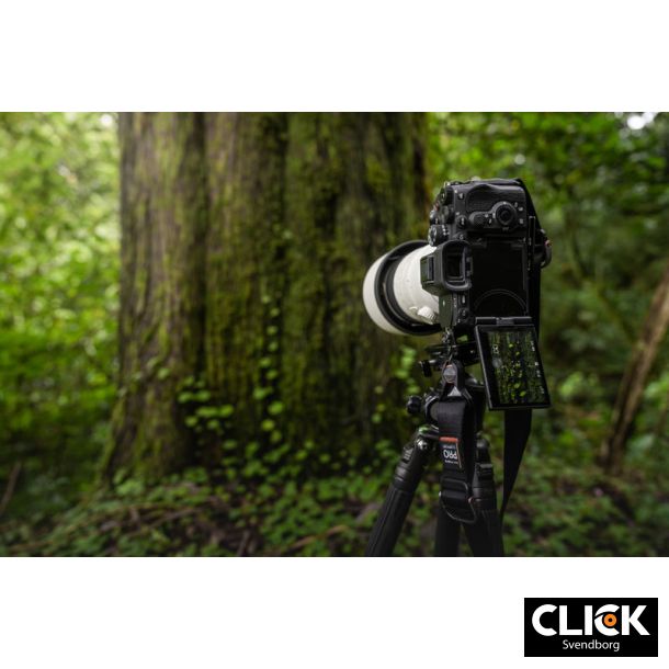 Sony Alpha A7R V (F 2250,- i straksrabat) (Sony Student Cashback)