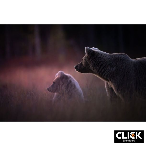 Min rejse ind i fotografiets verden med Mads GDahl (d. 26. februar kl. 18,30)