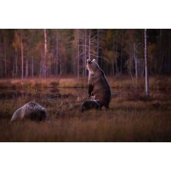 Min rejse ind i fotografiets verden med Mads GDahl (d. 26. februar kl. 18,30)