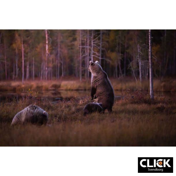 Min rejse ind i fotografiets verden med Mads GDahl (d. 26. februar kl. 18,30)