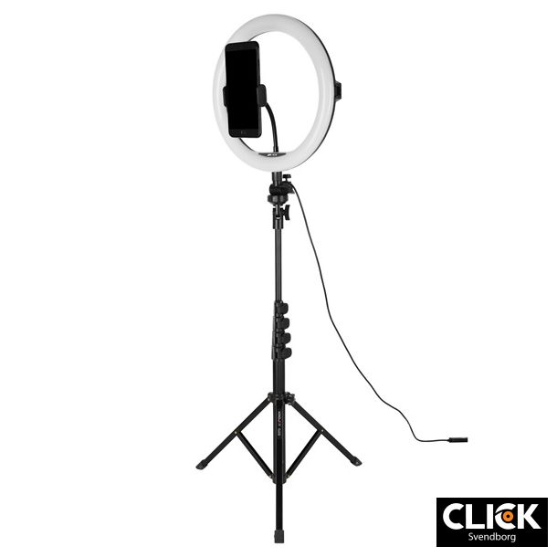 AFI 11" R11F + fl029 Ringlight 