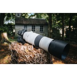 Canon RF 200-800mm F6.3-9 IS USM