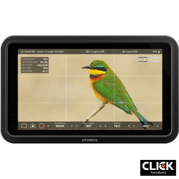 Atomos Shinobi II - 5-inch 1500nit HDMI monitor