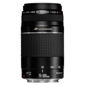 Canon EF 75-300mm f/4-5.6 III