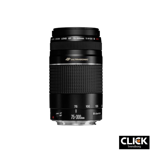Canon EF 75-300mm f/4-5.6 III