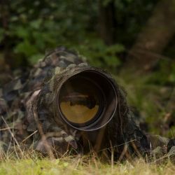 Caruba Camoflagenet Woodland 400x150cm - Bliv t med naturen og fang jeblikket ubemrket