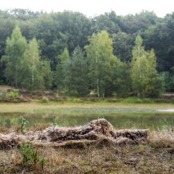 Caruba Camouflage Net Reed 400x150cm