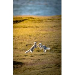 Min rejse ind i fotografiets verden med Mads GDahl (d. 26. februar kl. 18,30)