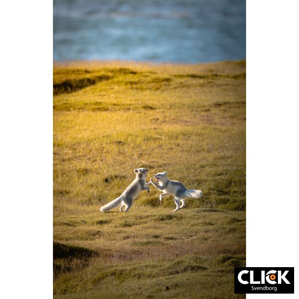 Min rejse ind i fotografiets verden med Mads GDahl (d. 26. februar kl. 18,30)