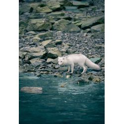 Min rejse ind i fotografiets verden med Mads GDahl (d. 26. februar kl. 18,30)