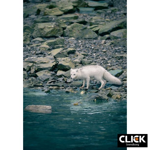 Min rejse ind i fotografiets verden med Mads GDahl (d. 26. februar kl. 18,30)