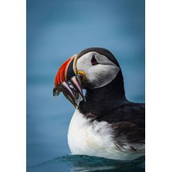 Min rejse ind i fotografiets verden med Mads GDahl (d. 26. februar kl. 18,30)