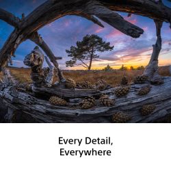 SONY FE 8-14mm F3.5 Fisheye G