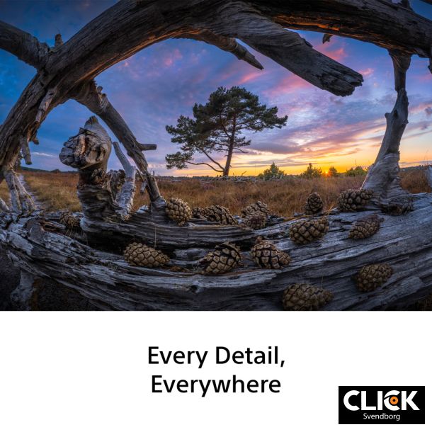 SONY FE 8-14mm F3.5 Fisheye G