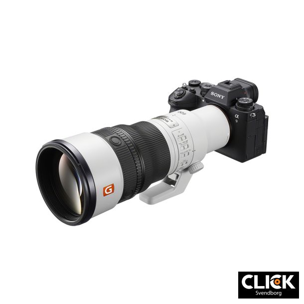 Sony FE 600mm F6.3 GM OSS