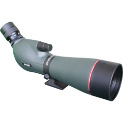 Focus Viewmaster ED 20-60x80 WP