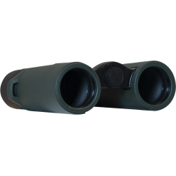 Focus Observer 34 8x34