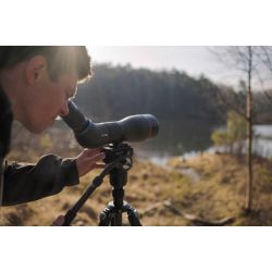 Focus Optimum 30-60x85 APO ED Udsigtskikkert