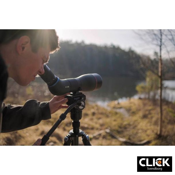 Focus Optimum 30-60x85 APO ED Udsigtskikkert