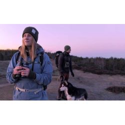 Focus Optimum 8x42 VHG ED