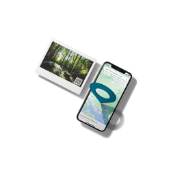 Fujifilm Instax Link Wide Ash White