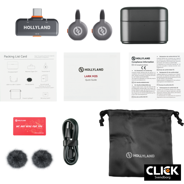 Hollyland LARK M2S Duo Wireless Lavalier Microphone with USB-C Plug (Duo, Space Gray)