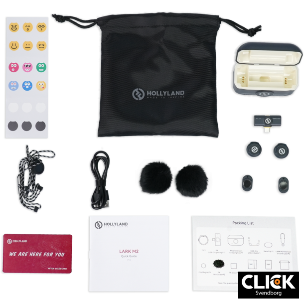 Hollyland Lark M2 Wireless Lavalier Microphone (USB-C)
