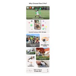 Insta360 Flow 2 Pro Creator Bundle (Stone Gray)