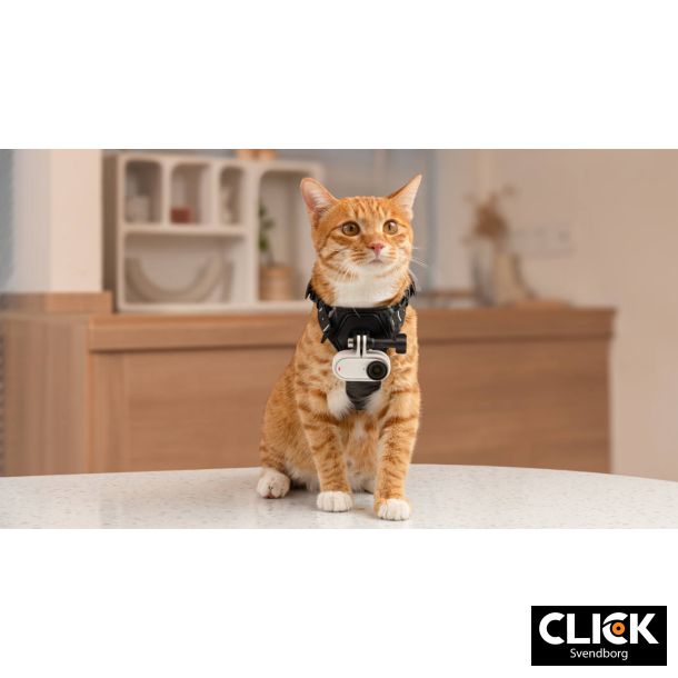 Insta360 GO 3S Standard Edition - Arctic White - 128GB