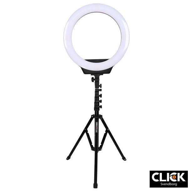 AFI 16" R116 + fl2009 stativ Ringlight Set