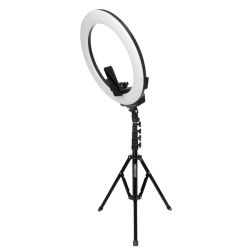 AFI 19" Ringlight R219 inkl. FL2009 light stand