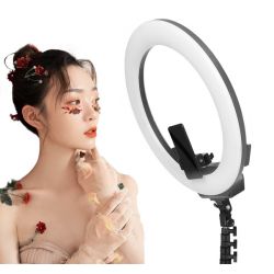 AFI 19" Ringlight R219 inkl. FL2009 light stand