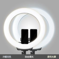 AFI 19" Ringlight R219 inkl. FL2009 light stand