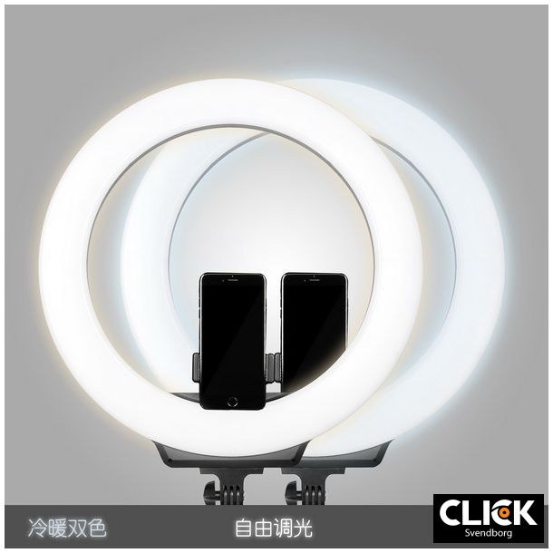 AFI 19" Ringlight R219 inkl. FL2009 light stand