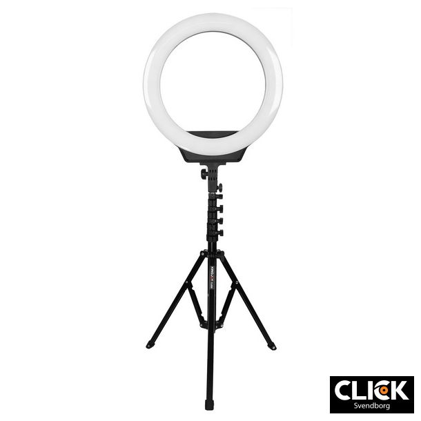 AFI 19" Ringlight R219 inkl. FL2009 light stand