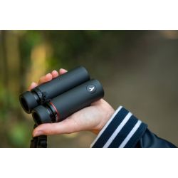 Kite Falco 10x25 Kikkert