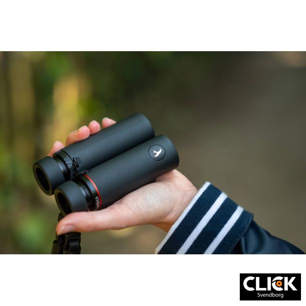 Kite Falco 10x25 Kikkert