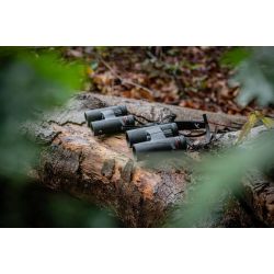 Kite Falco 10x32 Kikkert