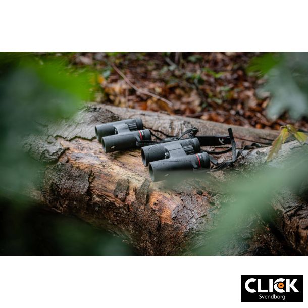 Kite Falco 10x32 Kikkert