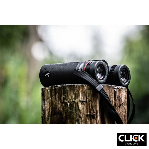 Kite Falco 8x32 Kikkert