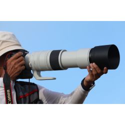 Canon RF 200-800mm F6.3-9 IS USM
