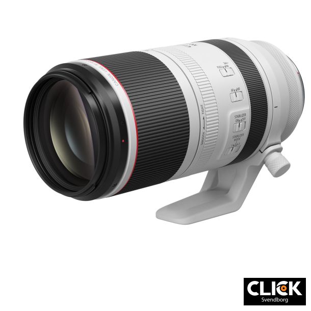 Canon RF 100-500mm F4.5-7.1L IS USM
