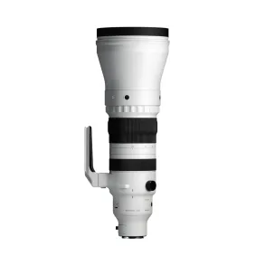 Sigma 300-600MM F4 DG OS SPORT (Sony E-mount)