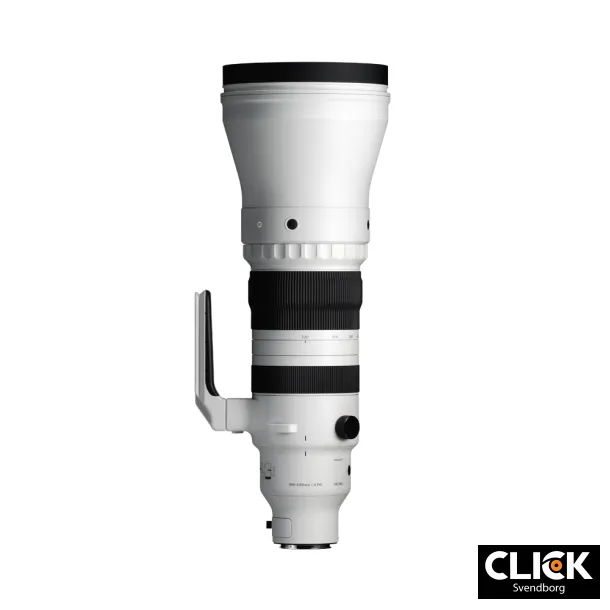 Sigma 300-600MM F4 DG OS SPORT (Sony E-mount)