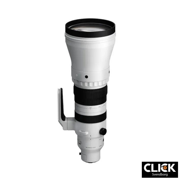 Sigma 300-600MM F4 DG OS SPORT (L-mount)