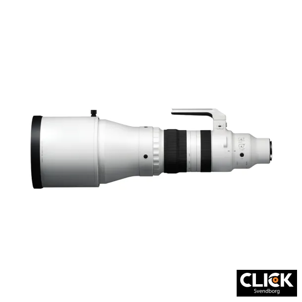 Sigma 300-600MM F4 DG OS SPORT (L-mount)