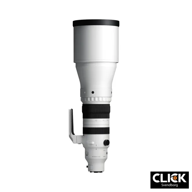 Sigma 300-600MM F4 DG OS SPORT (Sony E-mount)